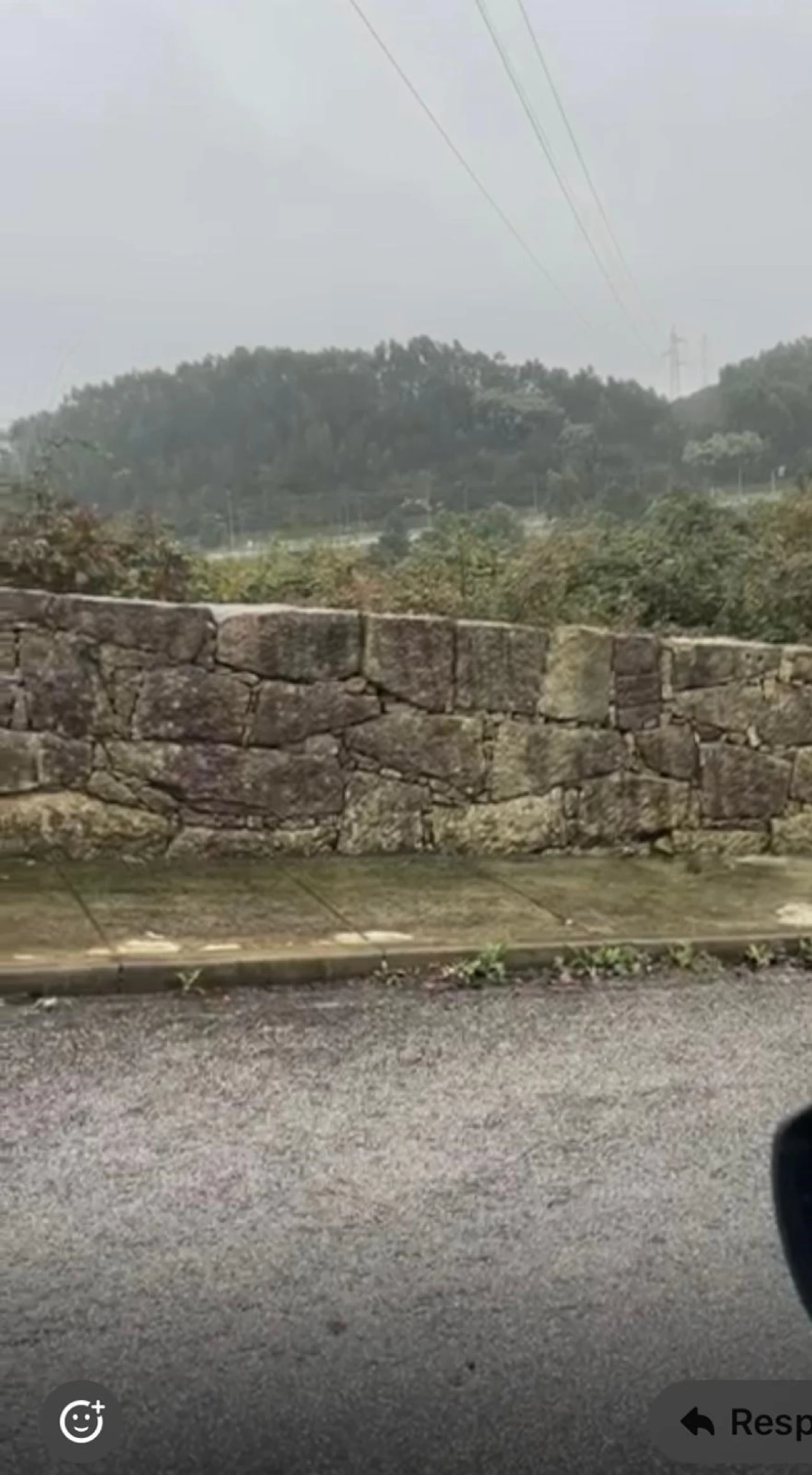 Terreno para Venda em Ferreira Foto 4
