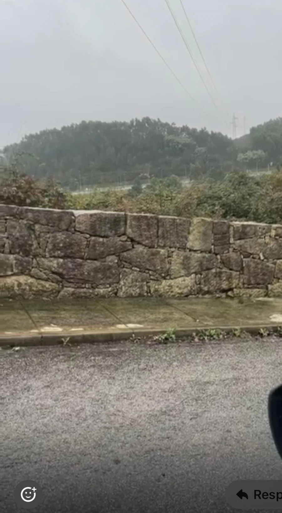 Terreno para Venda em Ferreira Foto 4