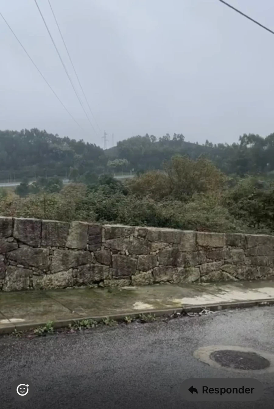 Terreno para Venda em Ferreira Foto 3