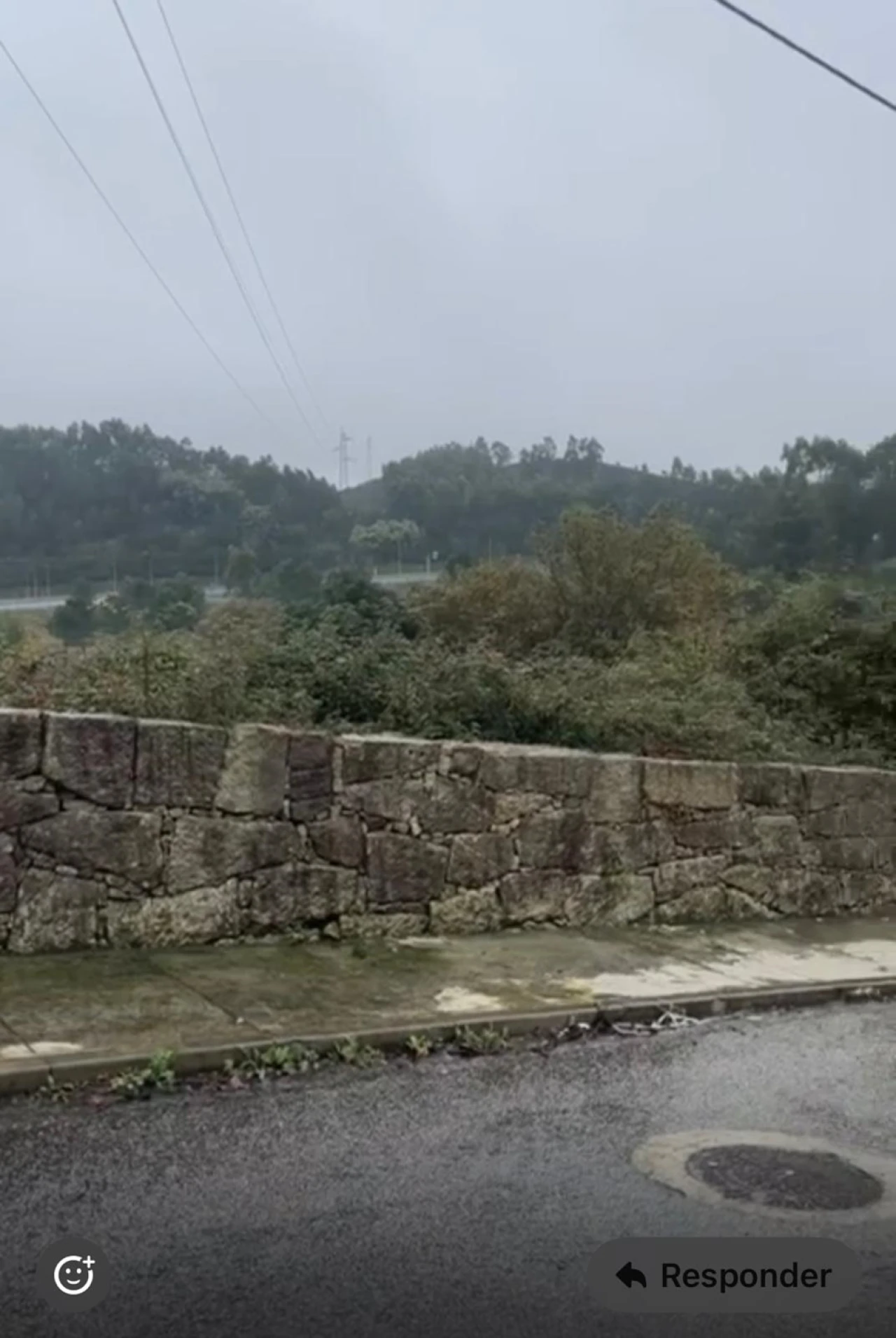 Terreno para Venda em Ferreira Foto 3