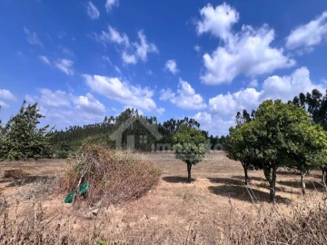 Armazém para Venda em Arega