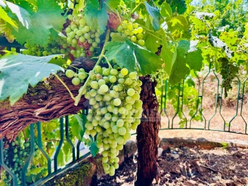 Moradia T2 para Venda em Figueiró dos Vinhos e Bairradas