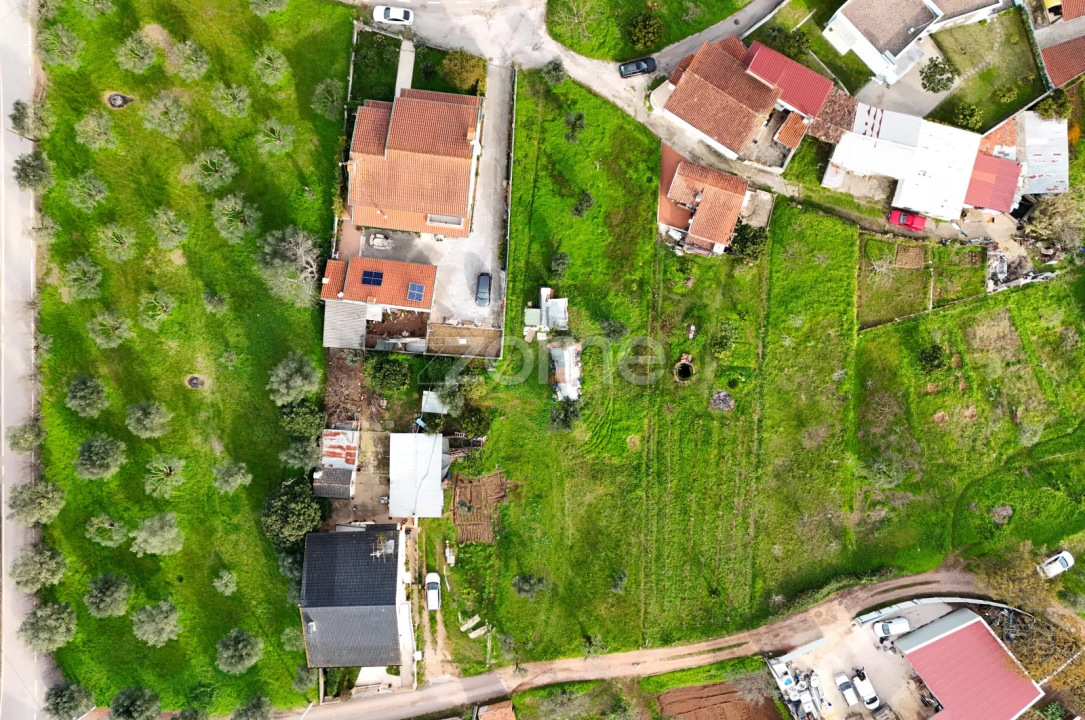 Terreno para Venda em Eiras e São Paulo de Frades Foto 13