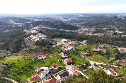 Terreno para Venda em Eiras e São Paulo de Frades