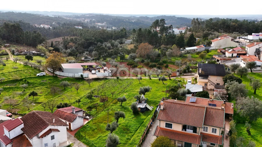 Terreno para Venda em Eiras e São Paulo de Frades