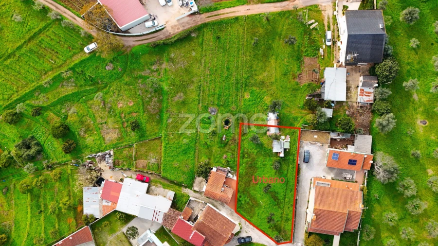 Terreno para Venda em Eiras e São Paulo de Frades