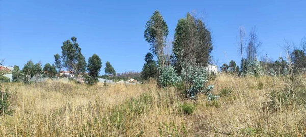 Terreno para Venda em Alfena