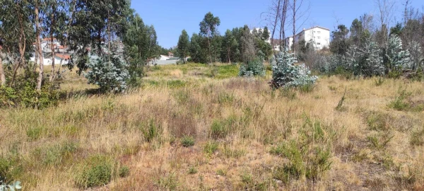 Terreno para Venda em Alfena