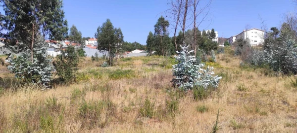 Terreno para Venda em Alfena