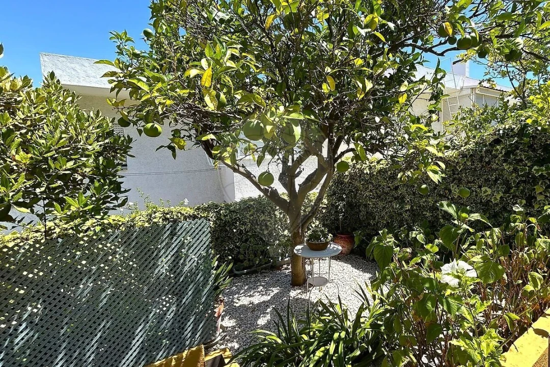 Apartamento T3 para Venda em Oeiras e São Julião da Barra, Paço de Arcos e Caxias Foto 23