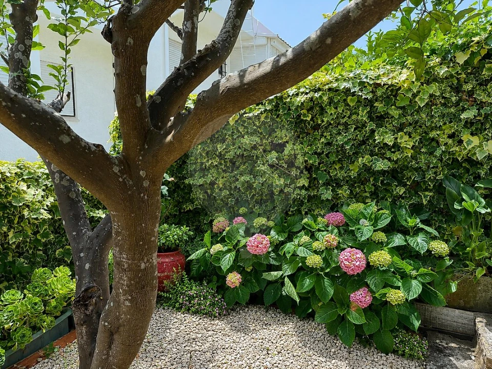 Apartamento T3 para Venda em Oeiras e São Julião da Barra, Paço de Arcos e Caxias Foto 19