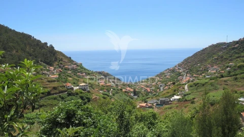 Terreno para Venda em Campanario