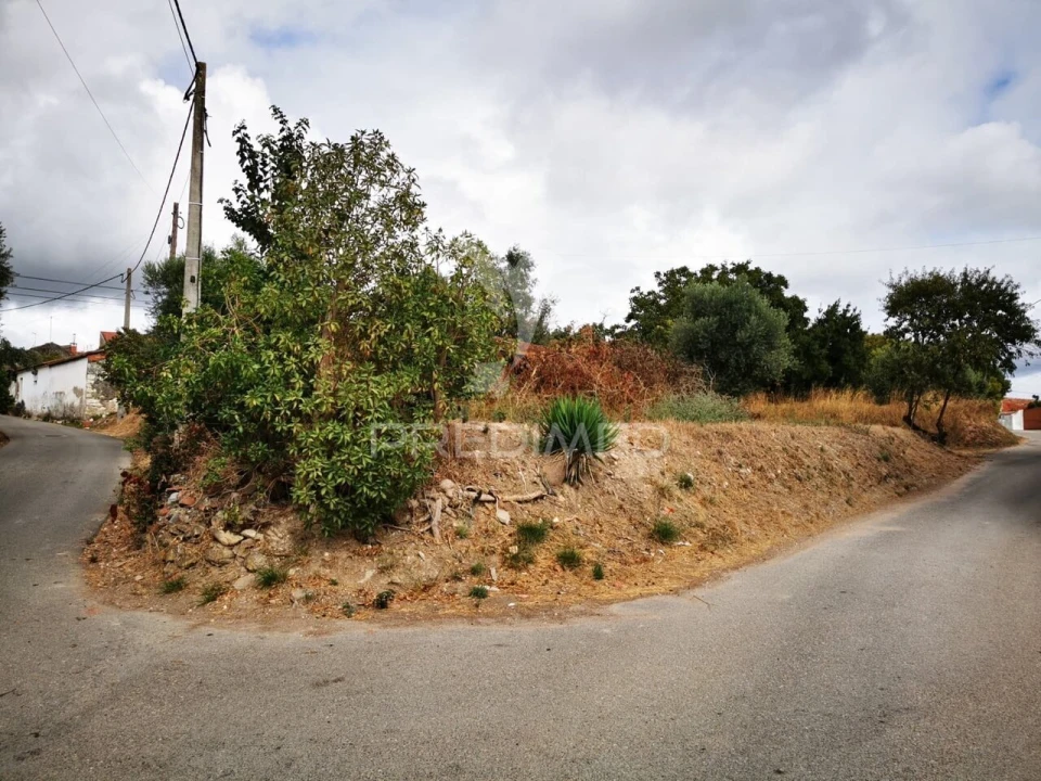 Terreno para Venda em Paialvo Foto 11