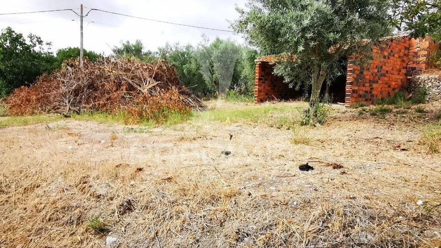 Terreno para Venda em Paialvo