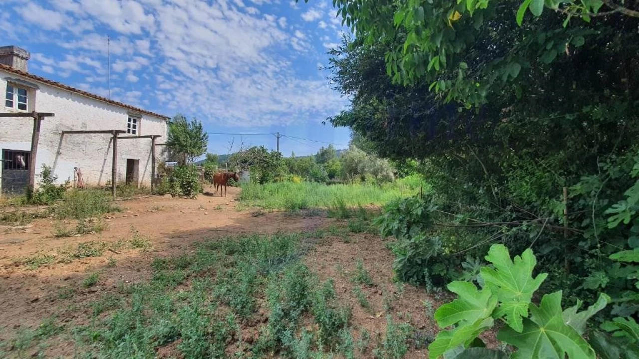 Quinta T2 para Venda em São Salvador da Aramenha Foto 18