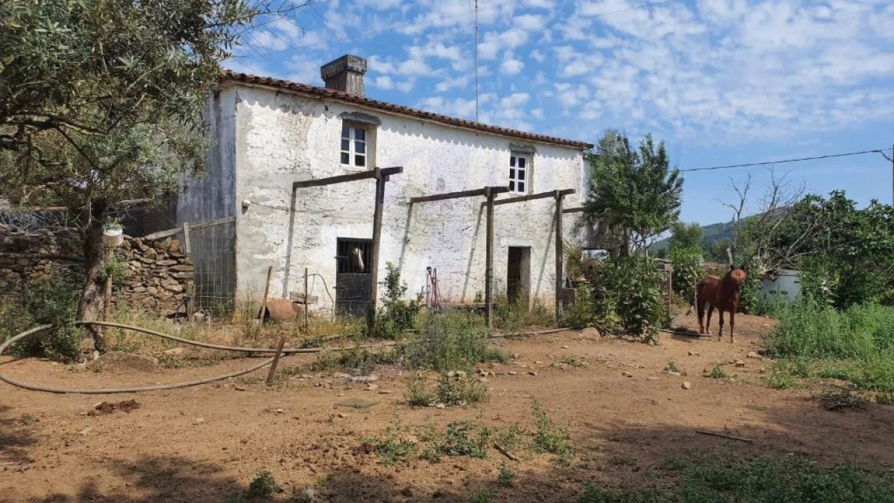 Quinta T2 para Venda em São Salvador da Aramenha Foto 19