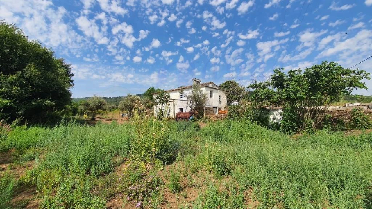Quinta T2 para Venda em São Salvador da Aramenha Foto 24