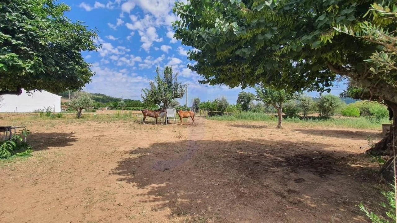 Quinta T2 para Venda em São Salvador da Aramenha Foto 26