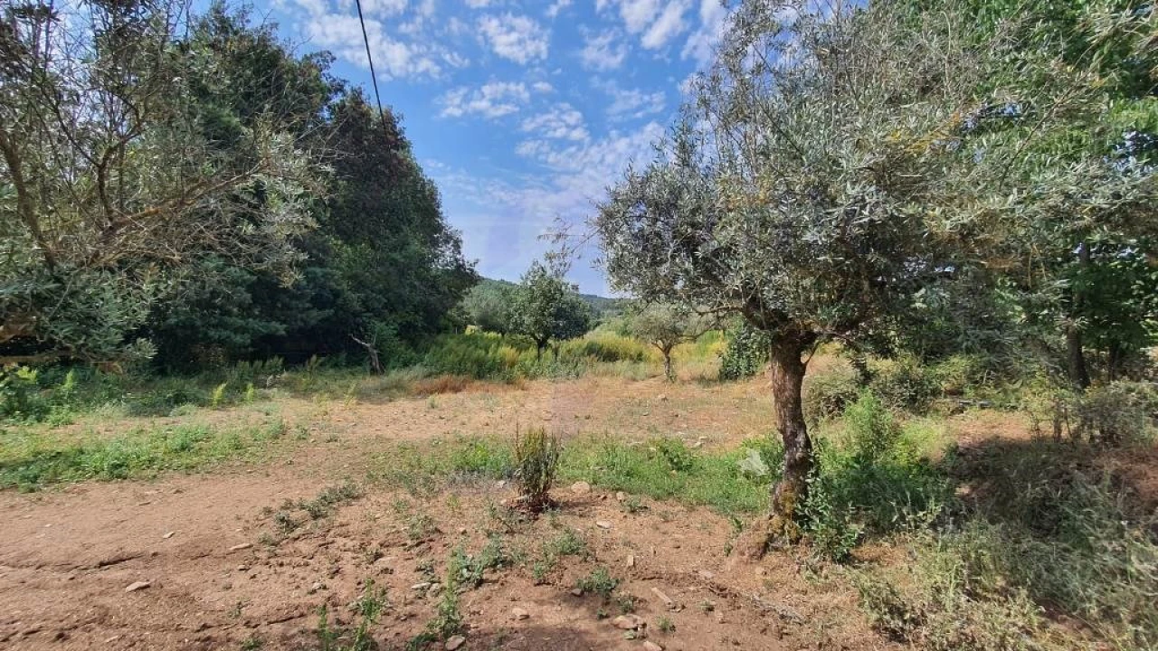 Quinta T2 para Venda em São Salvador da Aramenha Foto 28