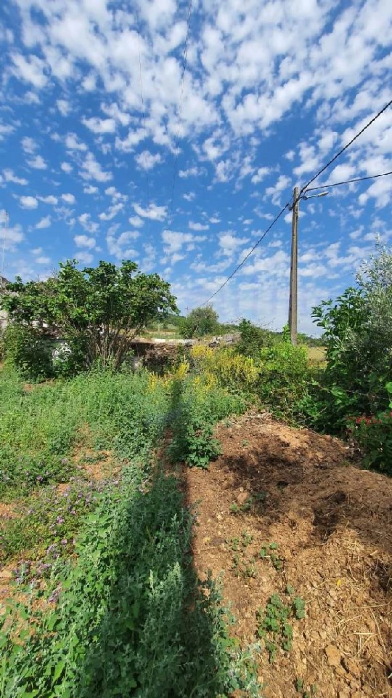Quinta T2 para Venda em São Salvador da Aramenha Foto 31