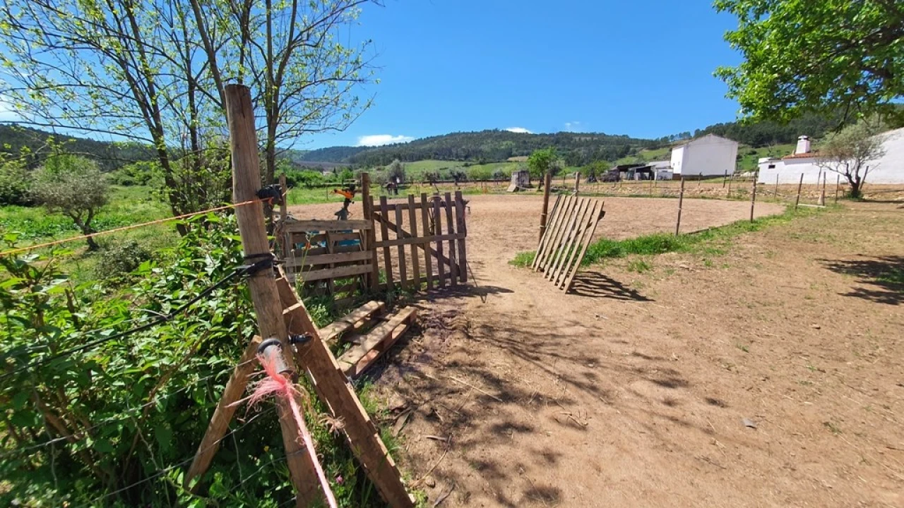 Quinta T2 para Venda em São Salvador da Aramenha Foto 32