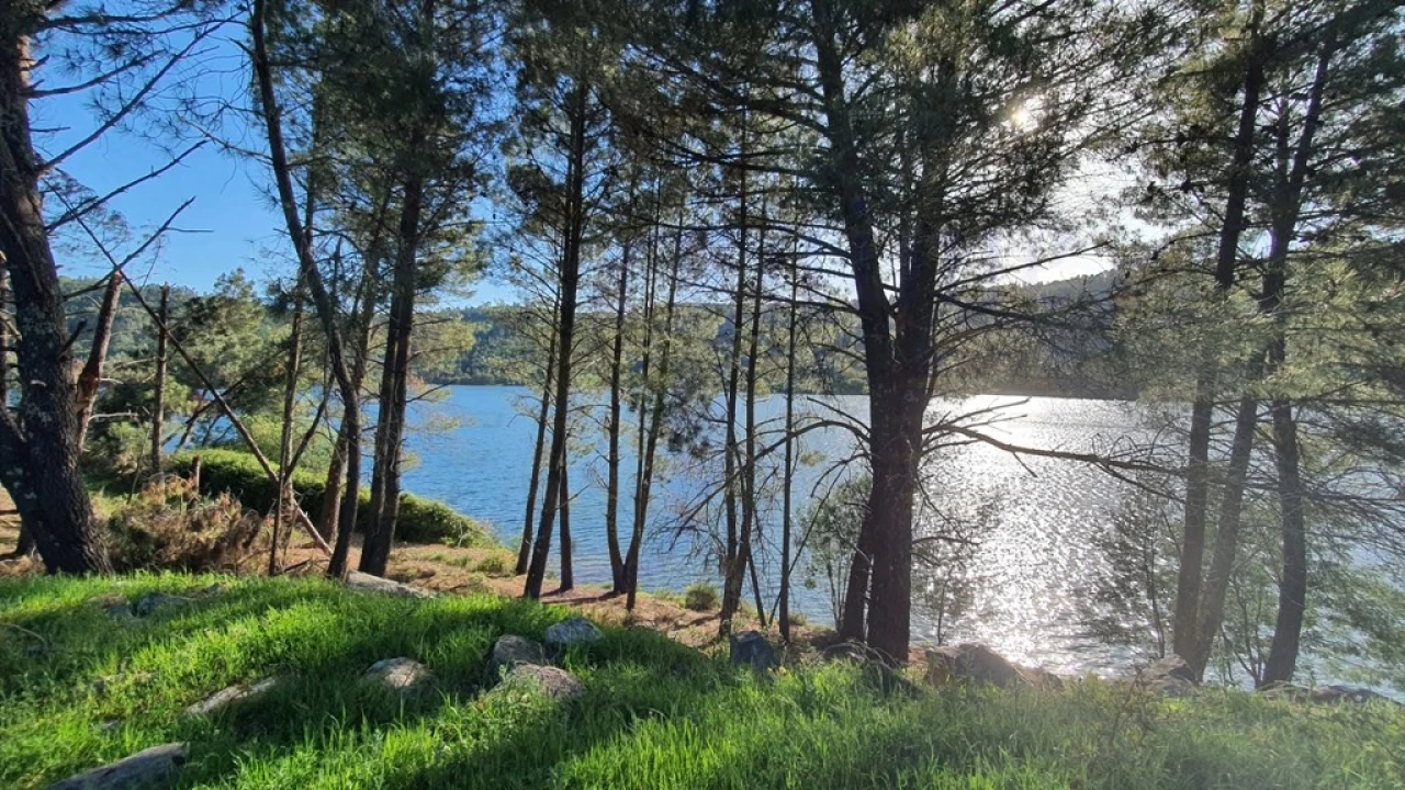 Quinta T2 para Venda em São Salvador da Aramenha Foto 44