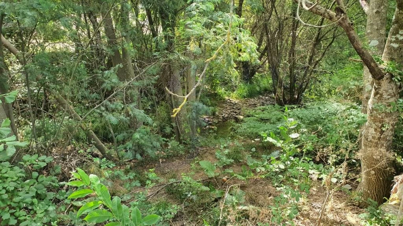 Quinta T2 para Venda em São Salvador da Aramenha Foto 47