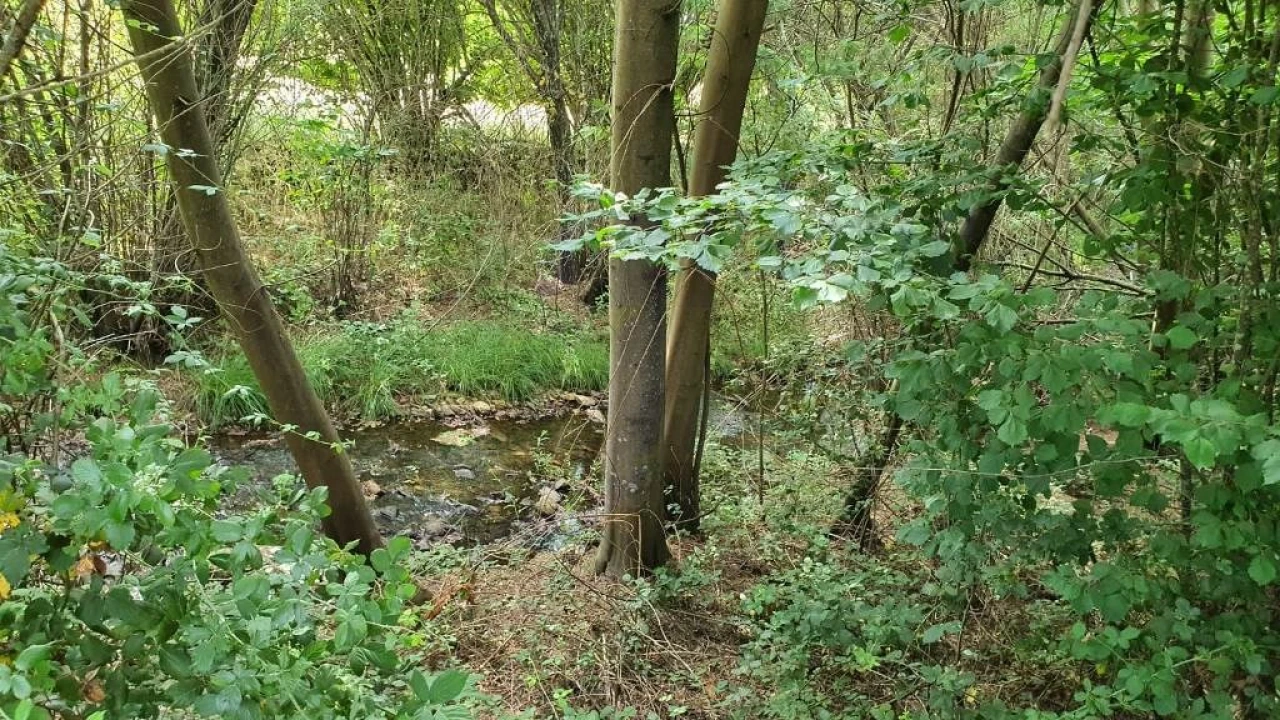 Quinta T2 para Venda em São Salvador da Aramenha Foto 48