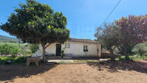 Quinta T2 para Venda em São Salvador da Aramenha