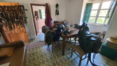 Quinta T2 para Venda em São Salvador da Aramenha