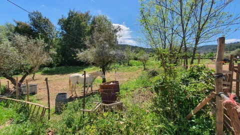 Quinta T2 para Venda em São Salvador da Aramenha
