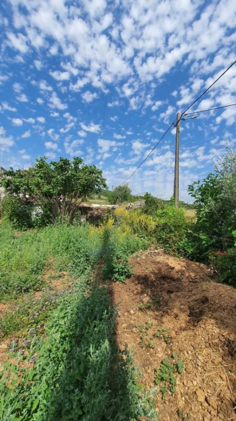 Quinta T2 para Venda em São Salvador da Aramenha