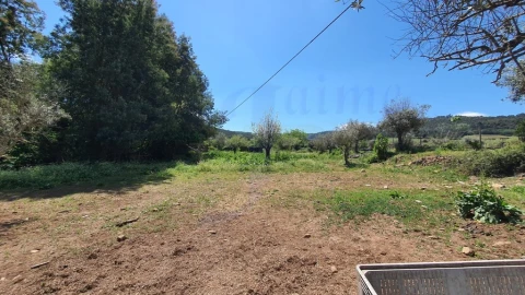 Quinta T2 para Venda em São Salvador da Aramenha