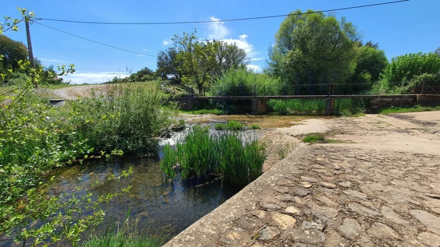 Quinta T2 para Venda em São Salvador da Aramenha Foto 39