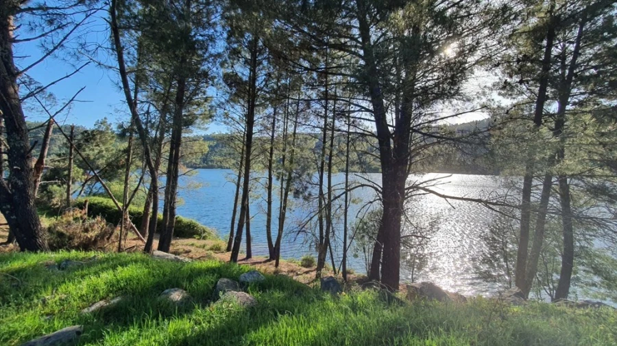 Quinta T2 para Venda em São Salvador da Aramenha Foto 44