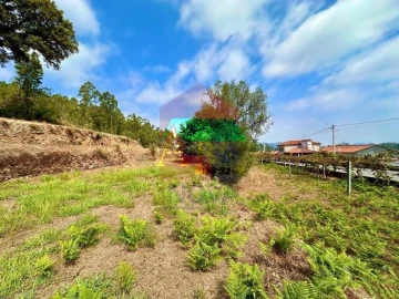 Terreno para Venda em Freiriz