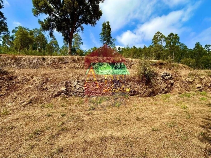 Terreno para Venda em Freiriz Foto 16