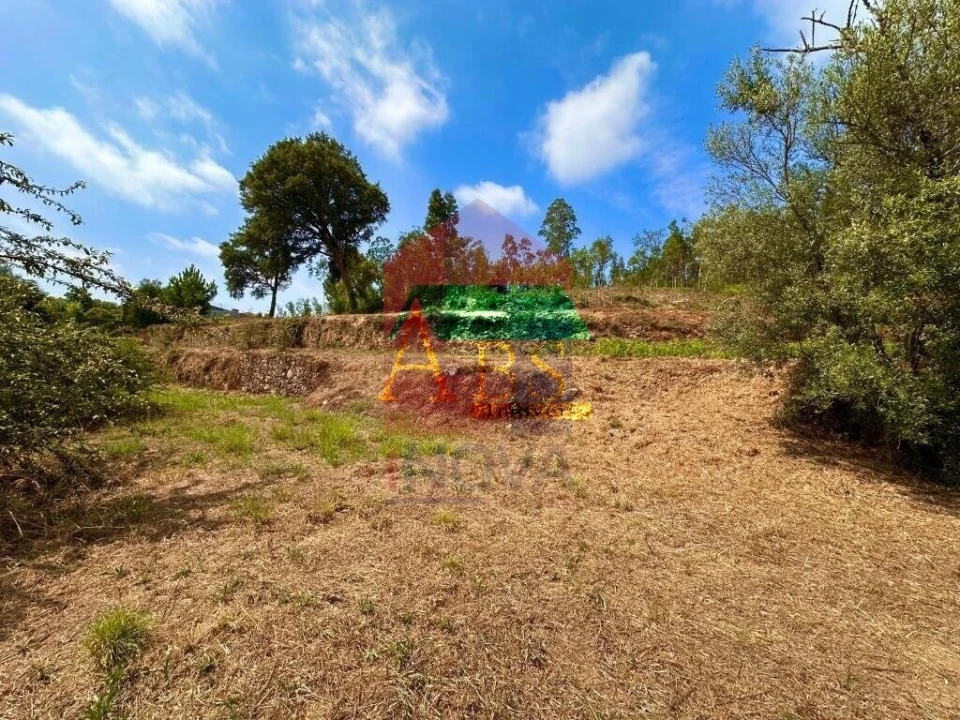 Terreno para Venda em Freiriz Foto 18