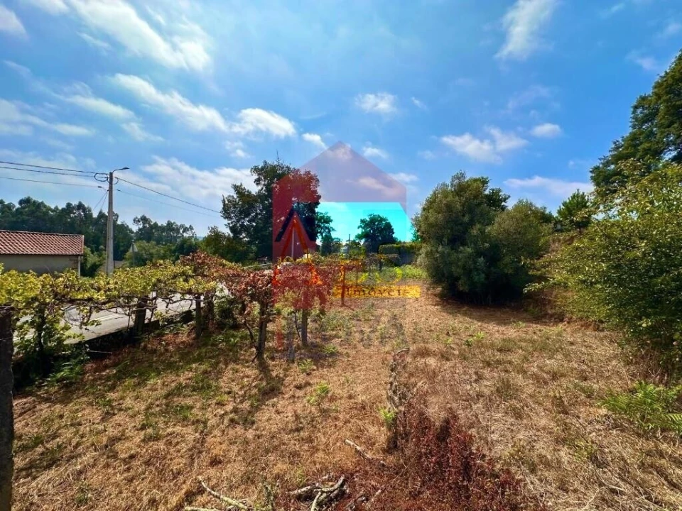 Terreno para Venda em Freiriz Foto 17