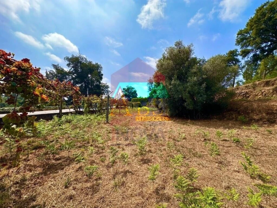 Terreno para Venda em Freiriz Foto 19