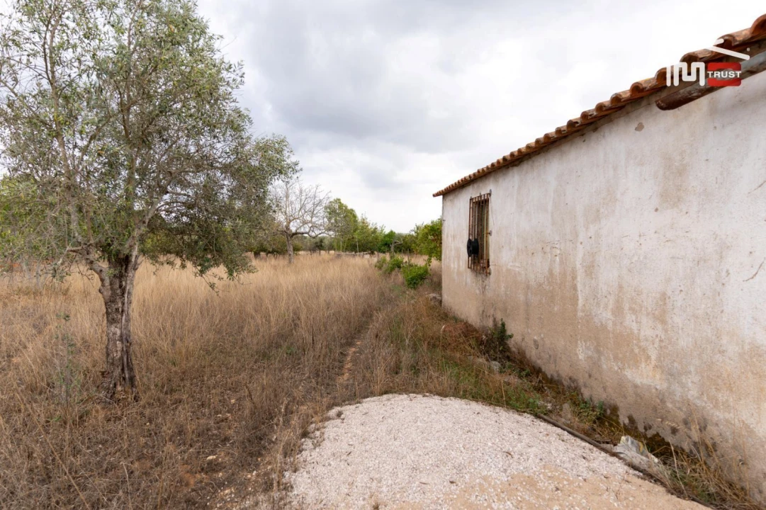 Terreno Misto para Venda em Assentiz Foto 12