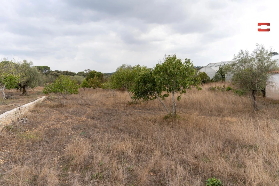 Terreno Misto para Venda em Assentiz Foto 15