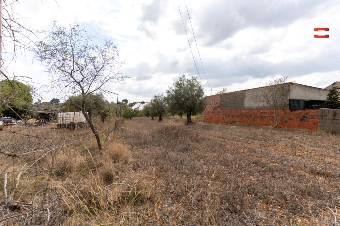 Terreno Misto para Venda em Assentiz Foto 16