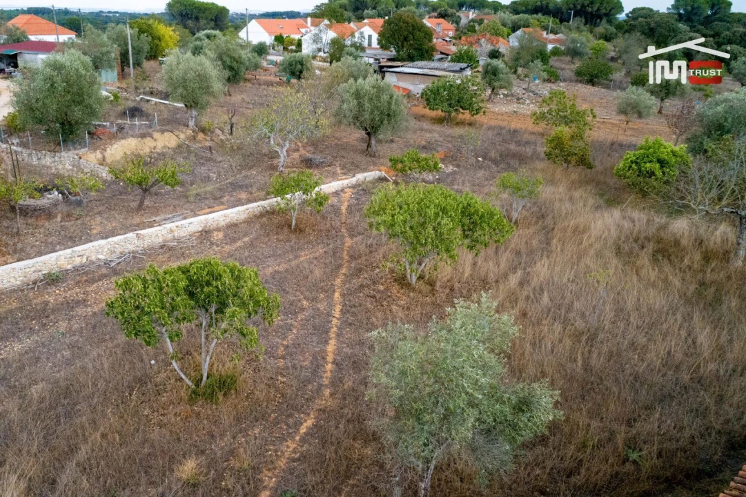 Terreno Misto para Venda em Assentiz Foto 18