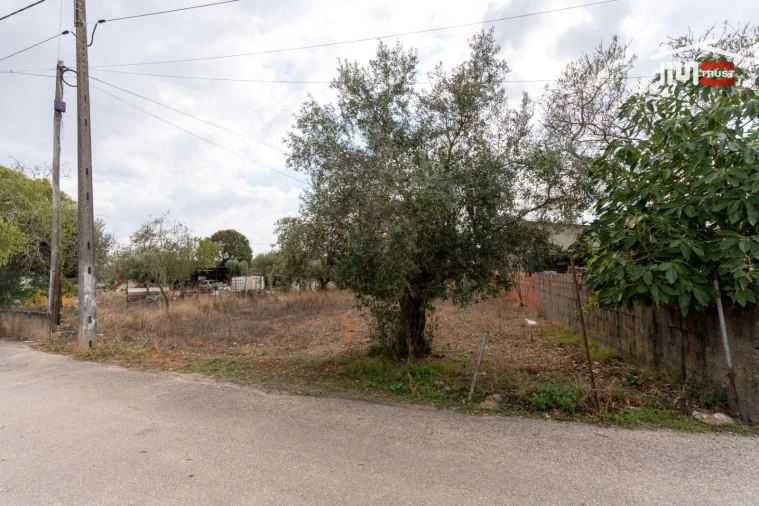 Terreno Misto para Venda em Assentiz Foto 4