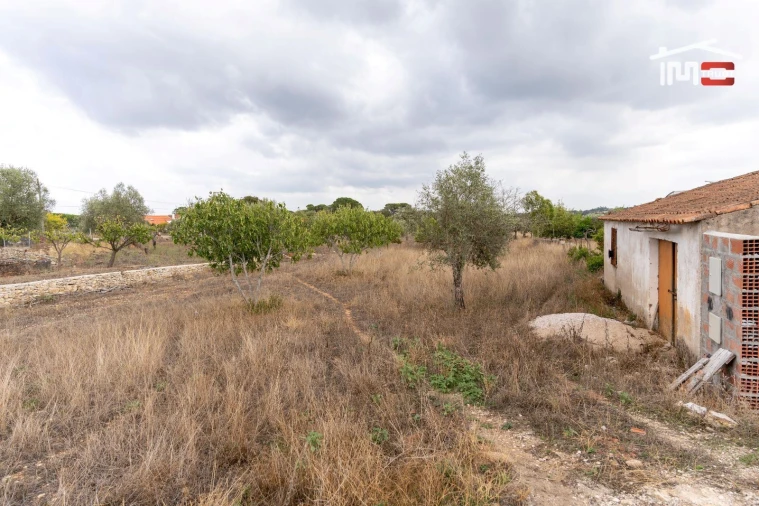 Terreno Misto para Venda em Assentiz Foto 9