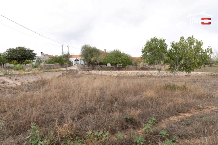 Terreno Misto para Venda em Assentiz Foto 14