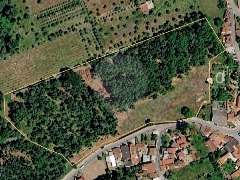 Terreno P/ Prédio para Venda em Ançã Foto 1
