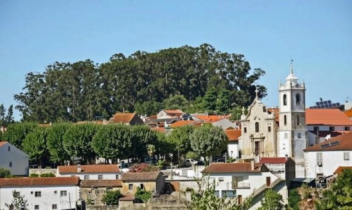 Terreno P/ Prédio para Venda em Ançã Foto 4