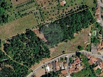Terreno P/ Prédio para Venda em Ançã